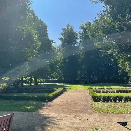 לינה וארוחת בוקר Schloss Spiegelberg 3*
