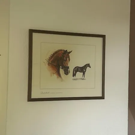 לינה וארוחת בוקר Schloss Spiegelberg